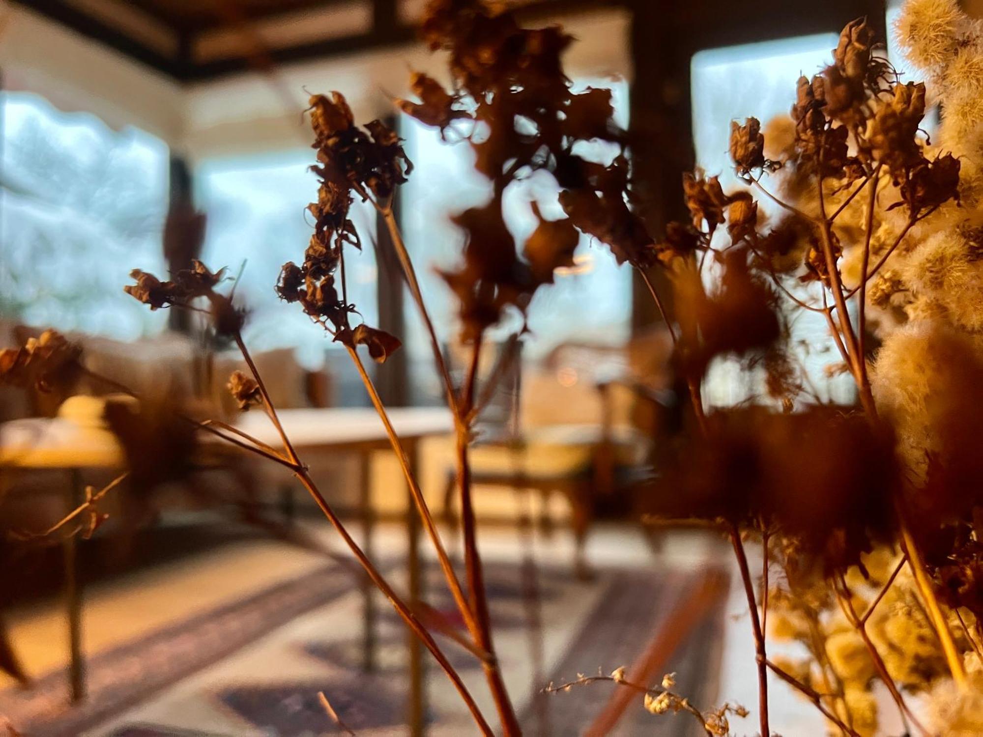 Charmantes Haus Am Hennesee 梅舍德 外观 照片